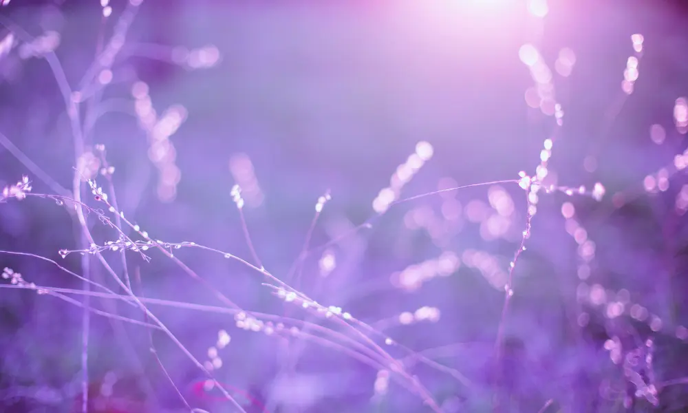 The Brilliance of the Neurodivergent Mind in the Workplace