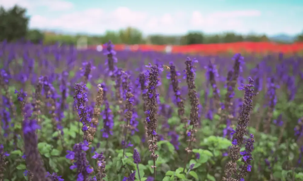 Why Women Leaders Need More Than Recognition