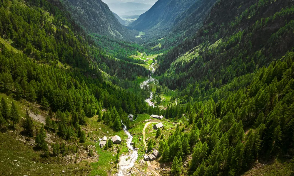 Wisdom in Leadership